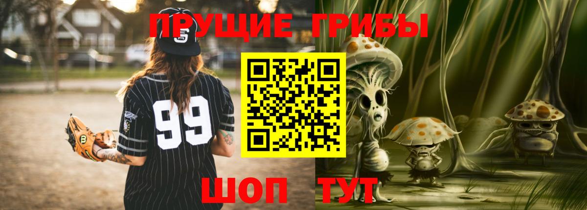 Псилоцибиновые грибы GOLDEN TEACHER Торжок